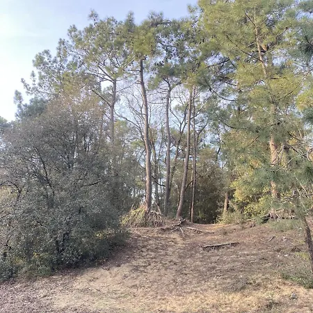 Lägenhet Ancora 2 - T2 3 Etoiles Avec Balcon & Parking - Vue D Exception *