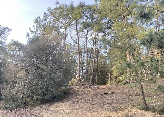 公寓 Ancora 2 - T2 3 Etoiles Avec Balcon & Parking - Vue D Exception *